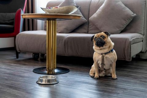 PLAZA Hotel Blankenburg Ditzingen, Sure Hotel Collection Hotel in Stuttgart