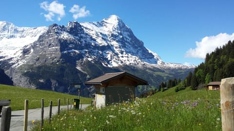 Hotel Tschuggen Hotel in Grindelwald