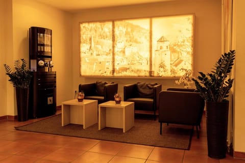 Central Hotel Löwen Hotel in Appenzell Innerrhoden, Switzerland