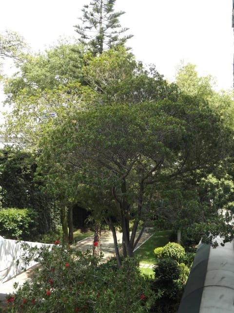 Pedregal Palace Hotel in Mexico City