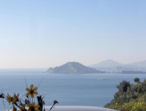 Mini Hotel - Angolo Di Paradiso - Hotel in Pozzuoli