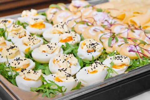 Hotel Opera Hotel in Sopot