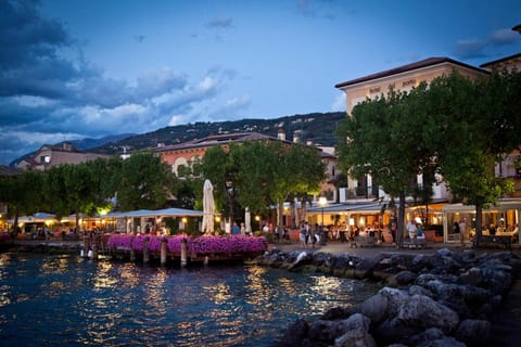 Hotel Del Porto Hotel in Torri del Benaco
