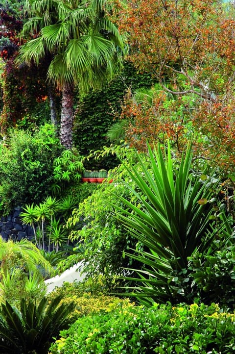 Strand Hotel Delfini Hotel in Ischia