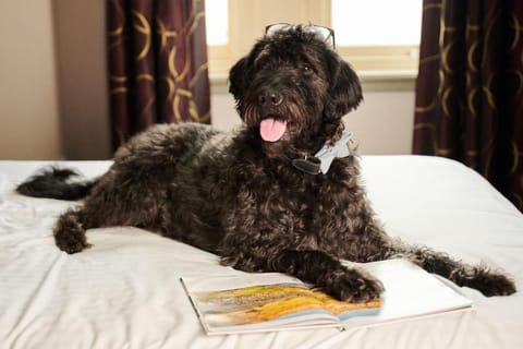 The Rutland Hotel Hotel in Sheffield