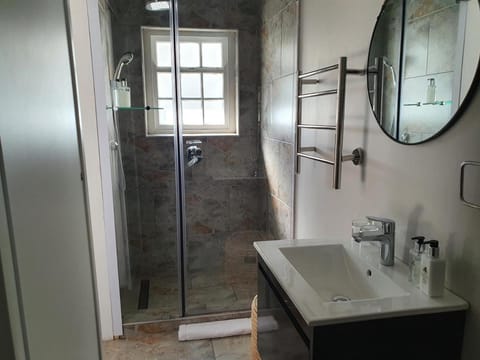 Wild Olive Guest House & Villa Bed and Breakfast in Cape Town