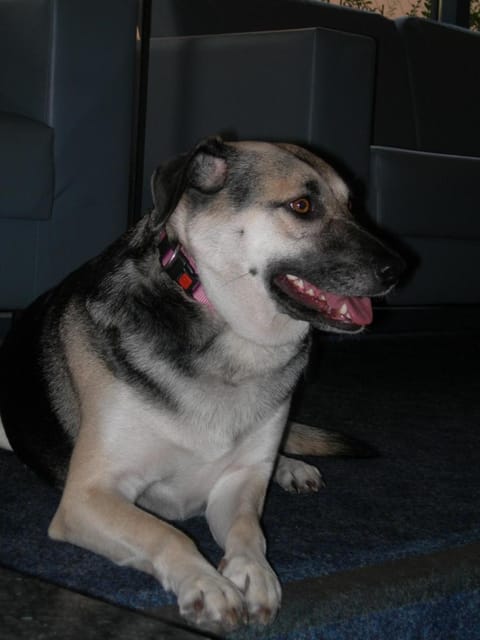 Crystal Hotel in Interlaken