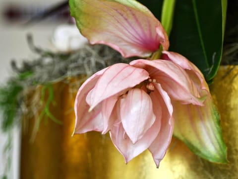 Comfort Hotel Tom Kyle Hotel in Kiel