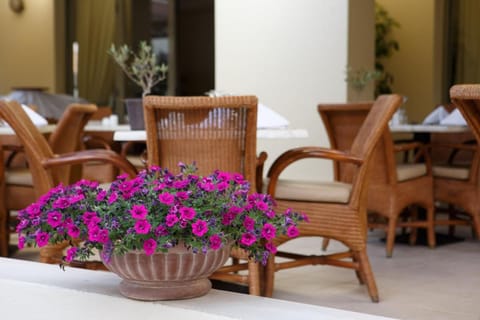Giannoulis - Santa Marina Plaza (Adults Only) Resort in Agia Marina