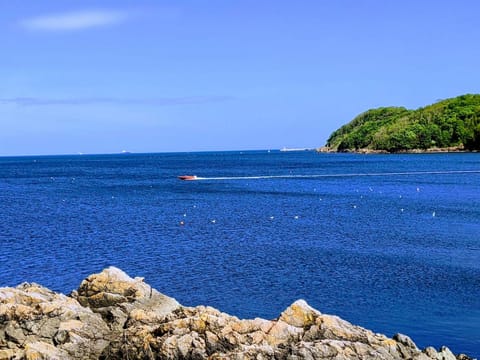 Abingdon House Bed and Breakfast in Torquay