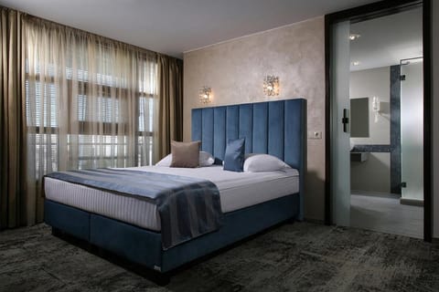 Reghina Blue Hotel Hotel in Timisoara