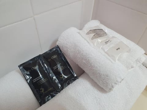 Ascot Epsom Motel Motel in Auckland