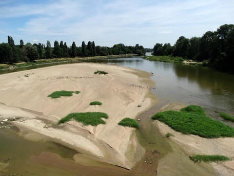 Castel Fleuri Hotel in Tours