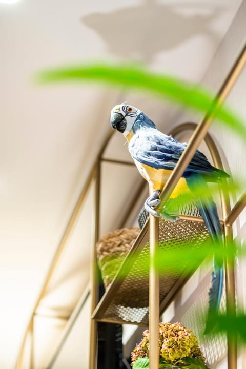 ibis Styles Rennes Cesson Hotel in Rennes