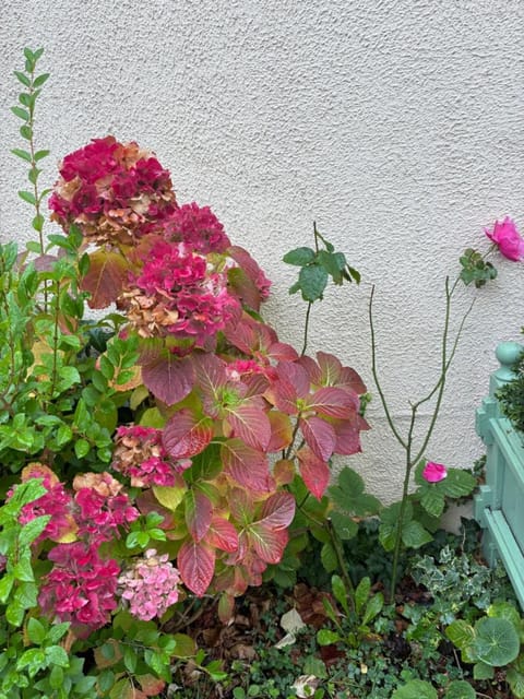 Aerotel Versailles Saint Cyr - L'étape du Silence Hotel in Versailles