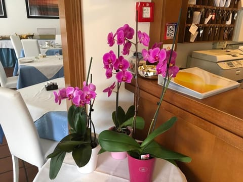 Hotel Cortina Hotel in Garda