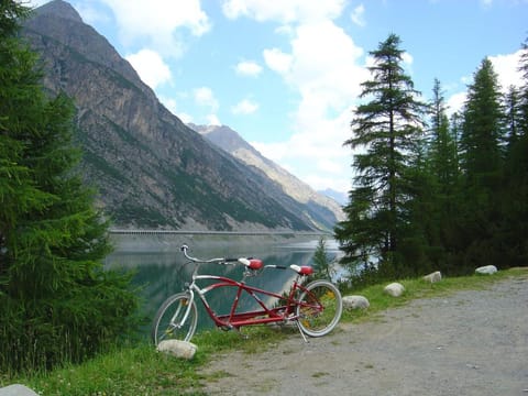 Alexander Charme Hotel Hotel in Canton of Grisons