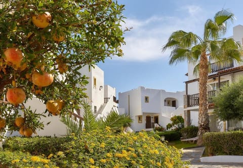 Alexander Beach Hotel & Village Resort Resort in Malia, Crete