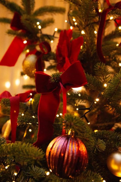 Hostellerie Du Chapeau Rouge Hotel in Dijon