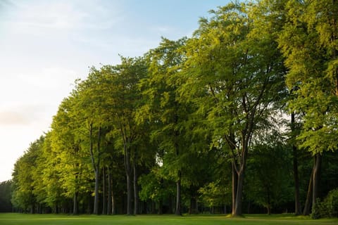 Forest Pines Hotel, Spa & Golf Resort Hotel in West Lindsey District