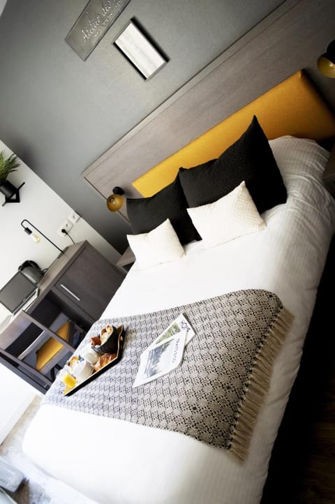 Icone Hotel - Annecy Hotel in Annecy