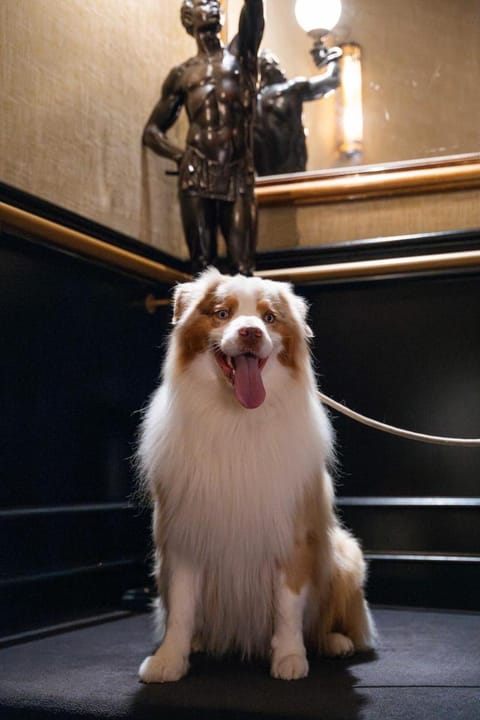 Best Western Hotel De Dieppe Hotel in Rouen