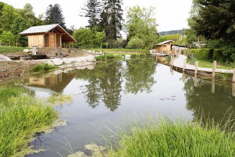 La Residence Hotel in Vosges