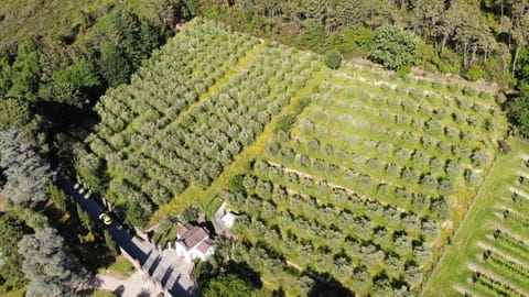 Hotel Albergo Villa Marta Hotel in Lucca