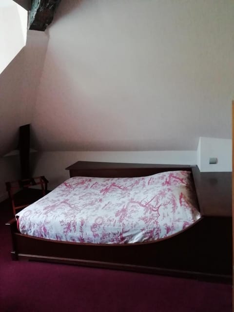 Hôtel Du Manoir Hotel in Tours