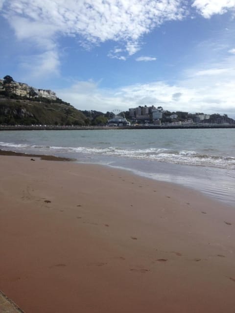 The Brandize Guest House Bed and Breakfast in Torquay