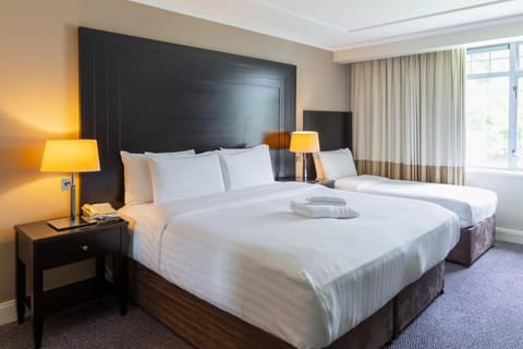 Shamrock Lodge Hotel Hotel in Athlone