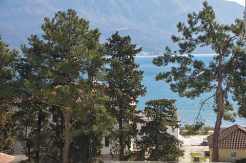 Hotel Oaza Hotel in Budva