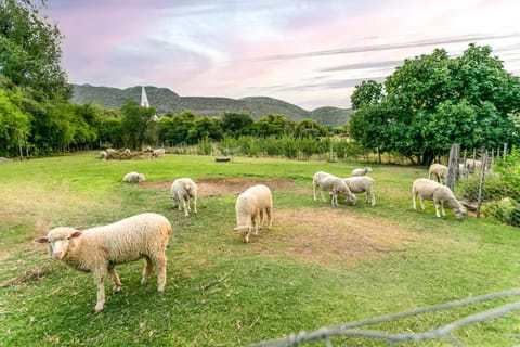Die Fonteine Country Guesthouse and Glamping Bed and Breakfast in Western Cape