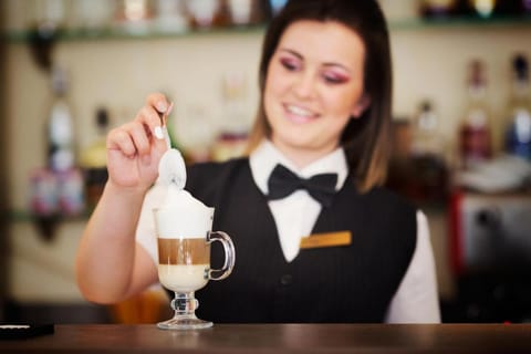 Hotel Putnik Hotel in Novi Sad