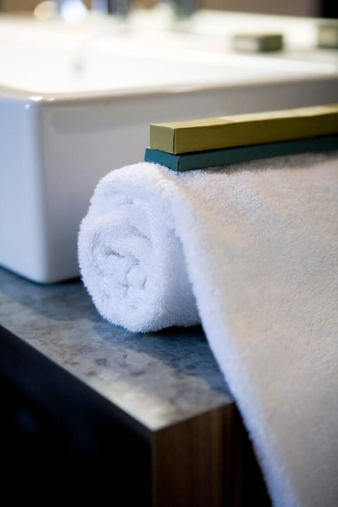 Hotel Restaurant Spa Ivan Vautier Hotel in Caen