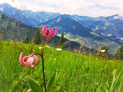 Familienhotel Kleinwalsertal Apartment hotel in Oberstdorf