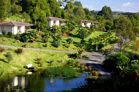 Avalon Resort Resort in Northland