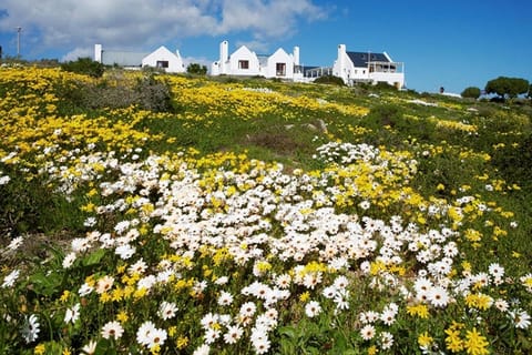 Abalone Hotel & Villas Hotel in Western Cape