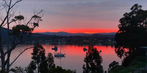 Driftwood Chalet in Dover