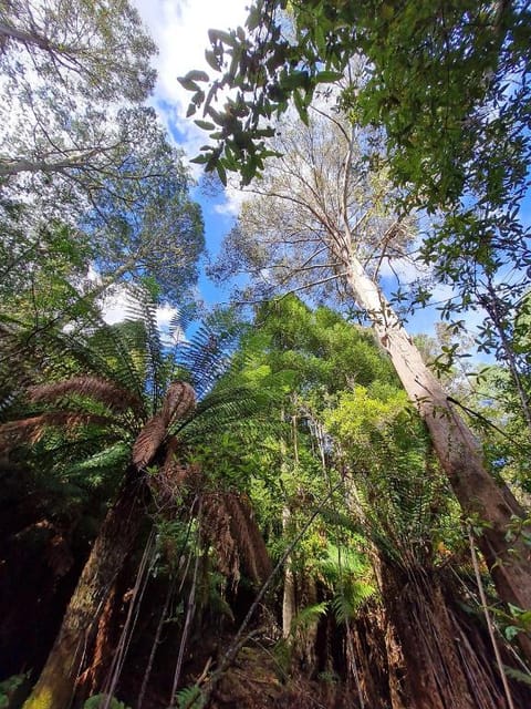 Huon Bush Retreats Hotel in Tasmania