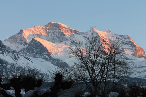Swiss Lodge Hotel Bernerhof Inn in Lauterbrunnen