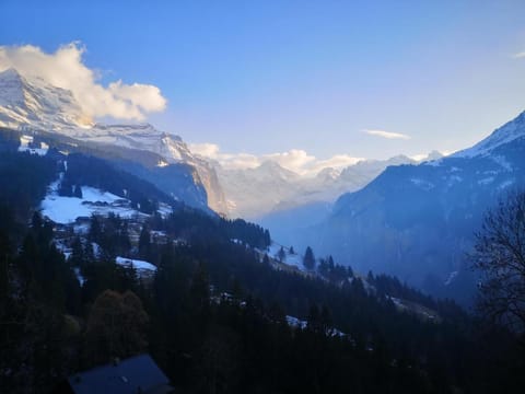 Swiss Lodge Hotel Bernerhof Inn in Lauterbrunnen