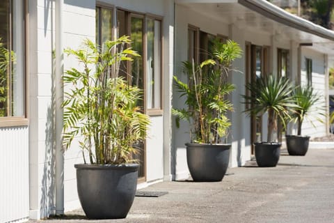 Aarangi Tui Motel Motel in Paihia