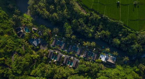 The Samaya Ubud Villas Villa in Abiansemal
