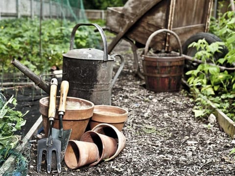 Marsham Arms Inn Inn in Broadland District