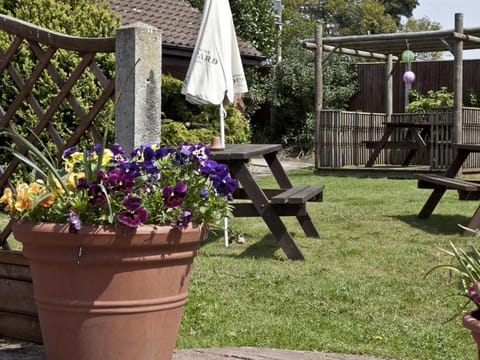 Marsham Arms Inn Inn in Broadland District