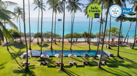 Haadtien Beach Resort Resort in Ko Tao