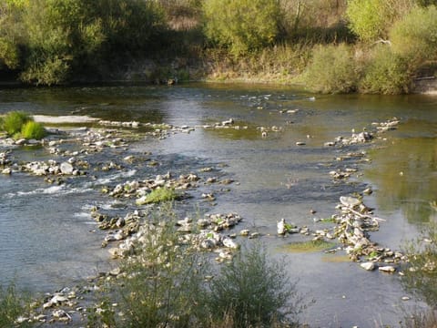 Château de Colliers Bed and Breakfast in Centre-Val de Loire
