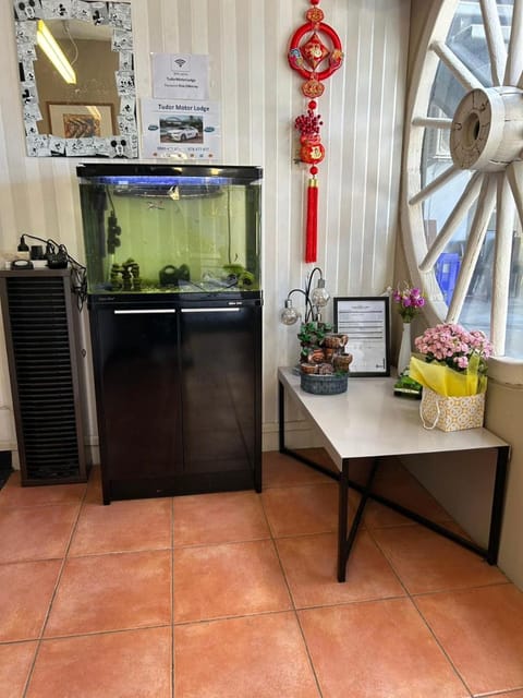 Tudor Motor Lodge Motel in Hamilton