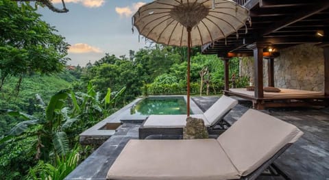 Natura Resort and Spa Villa in Ubud